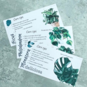 Pilea Pflege Karte, chinesische Geld Pflanzenpflege Karte, digitaler Download, druckbare Pflanzenpflege Karte, Pflanzenliebhaber Geschenk
