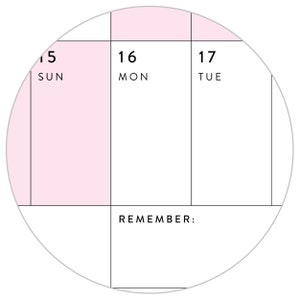 Giant 2024 Wall Calendar 2024 Wall Planner Annual Planner Yearly Planner Monthly Planner 2024 Year Planner Horizontal / Pink image 9