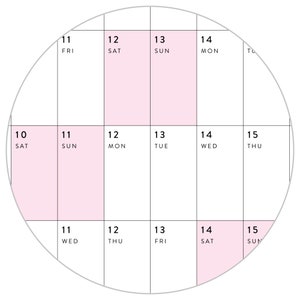 Giant 2024 Wall Calendar 2024 Wall Planner Annual Planner Yearly Planner Monthly Planner 2024 Year Planner Horizontal / Pink image 7