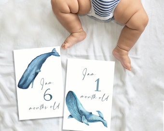 Baby Milestone Cards, Printable Cards,Month Cards, Instant Downloadable Baby Photo Props Watercolor  Whales Newborn Baby Milestones