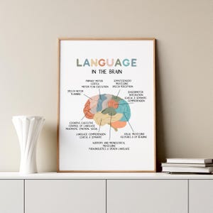 language in the brain poster slp poster slp wall art slp wall decor  speech room decor speech pathology poster slp speech therapy room decor
