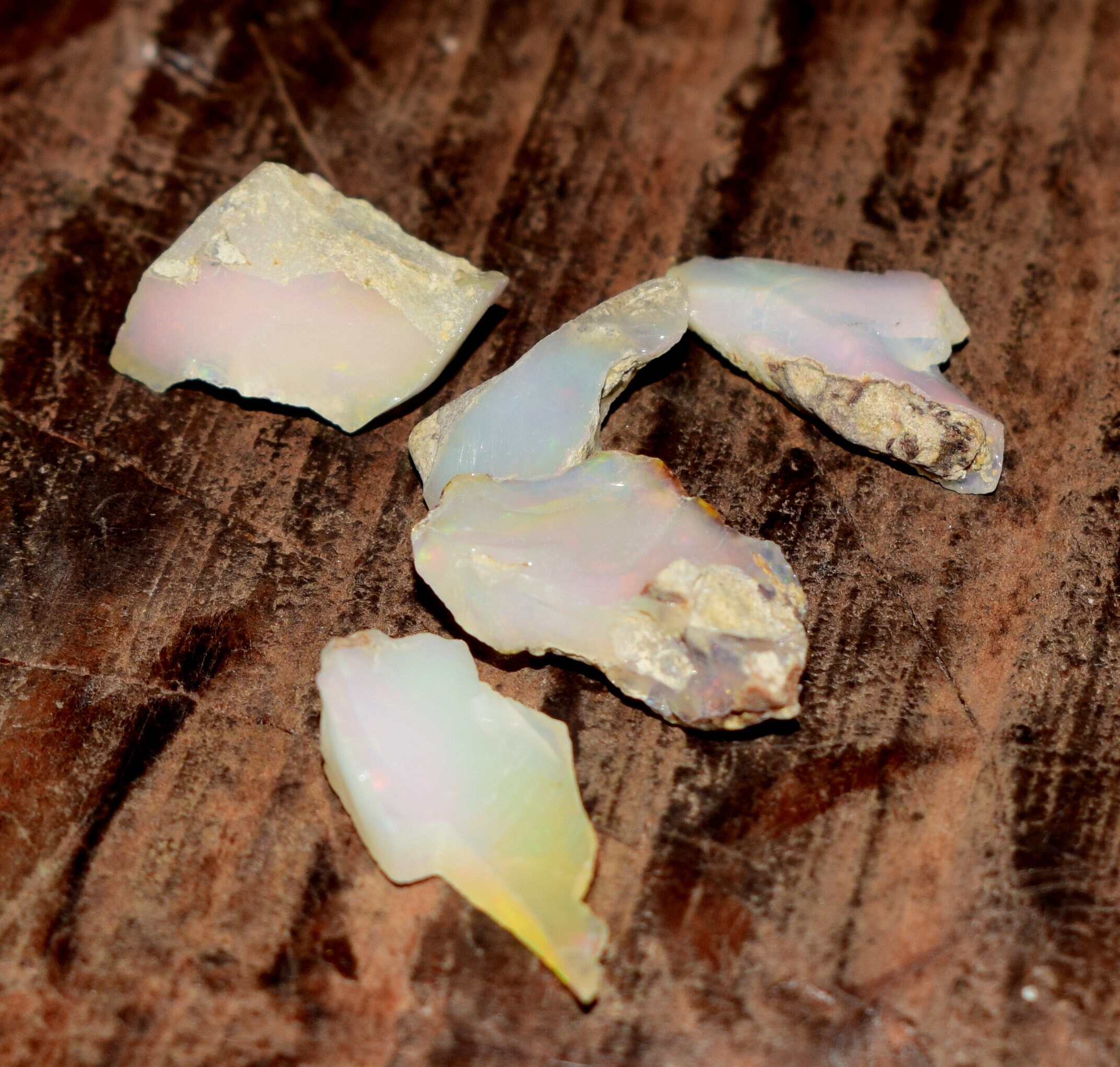 Natural OPAL Raw Crystals Bulk Raw Opal Rough Opal Lot Welo - Etsy UK