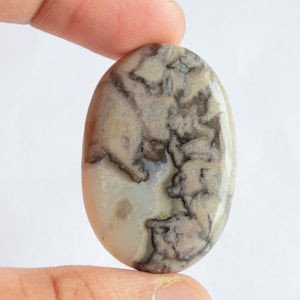 Könnte beinhalten: Ein ovaler Achat-Cabochon in Weiß und Grau mit braunen und schwarzen dendritischen Mustern.