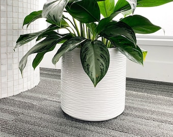 Indoor Outdoor Flower Pot Large Fiber Resin Plant Pot 10 inch Plant Pot with Drainage Hole & Plugs Lightweight but Durable Modern White Garden Planter 10x10 inch