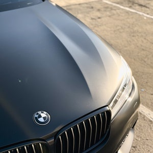 BMW Emblem Vinyl Overlays Colored Decals for Badges Hood and Trunk