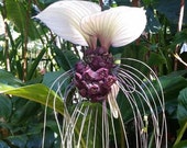 Artikel aus diesem Shop