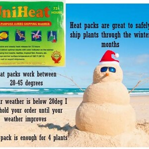 May include: A multi-purpose jumbo shipping warmer labeled "UniHeat" with text indicating it provides 72 hours of heat. The image also shows a sand snowman wearing sunglasses and a Santa hat on a beach, with text about shipping plants in winter.