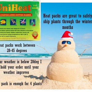 May include: A UniHeat multi-purpose jumbo shipping warmer heat pack with green and yellow packaging, featuring text about 72-hour heat release and 100&deg;F surface temperature, alongside a sand snowman wearing a Santa hat and sunglasses on a beach.