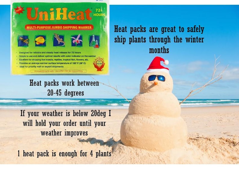 May include: Green and yellow UniHeat multi-purpose jumbo shipping warmer with a snowman wearing sunglasses and a Santa hat on a beach. The text on the warmer reads "UniHeat 724 Hours Multi-Purpose Jumbo Shipping Warmer". The text below the snowman reads "Heat packs are great to safely ship plants through the winter months".