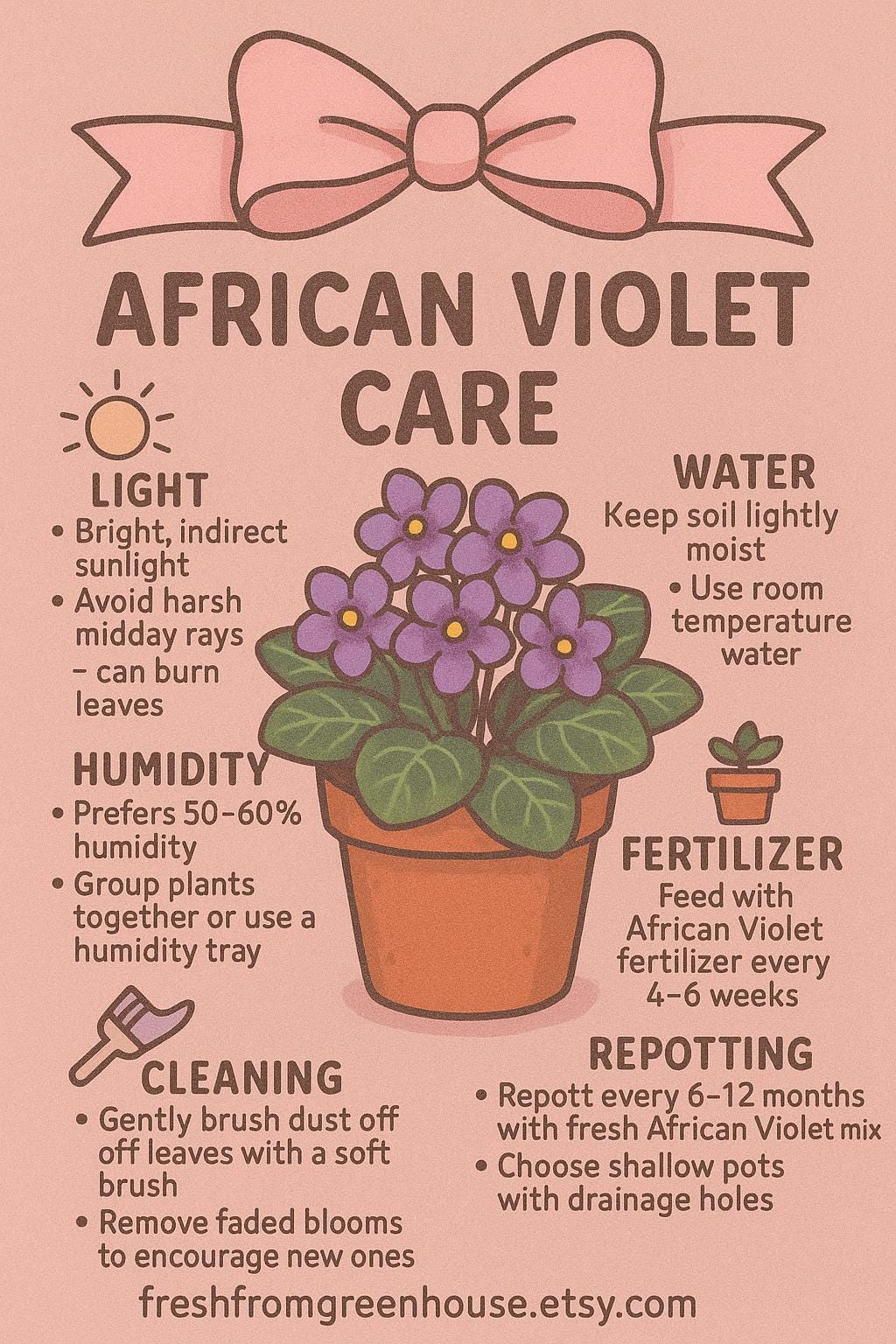 Currently Blooming African Violet Live Plant in a 4" Pot | Blush Rosette  Violet | 2 Plants Required per Order | - Etsy