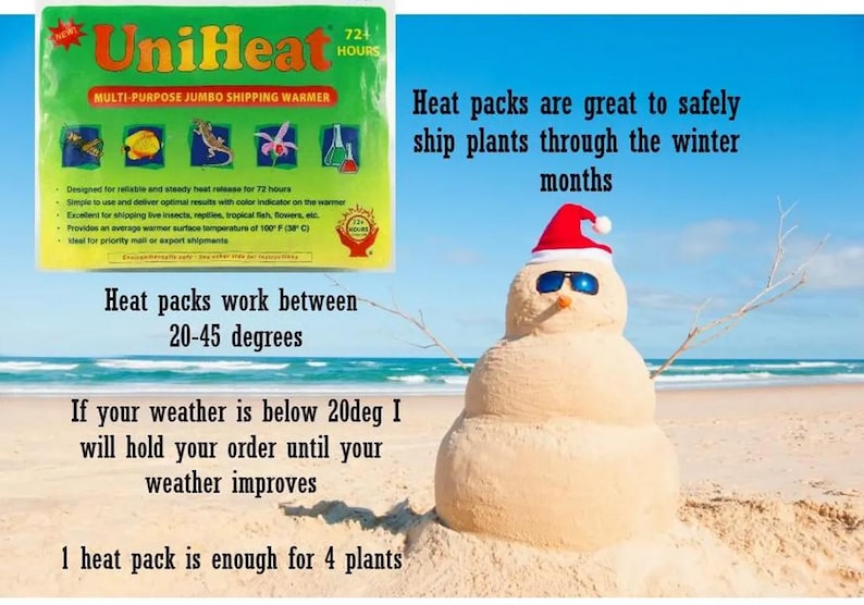 May include: A "UniHeat" multi-purpose jumbo shipping warmer, designed to provide 72 hours of heat. The image includes a sand snowman wearing sunglasses and a Santa hat on a beach, with text about shipping plants during winter.