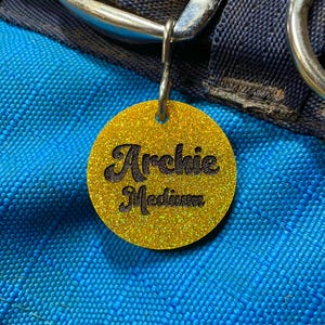 Discount Horse Blanket Halter Tag Gold Glitter