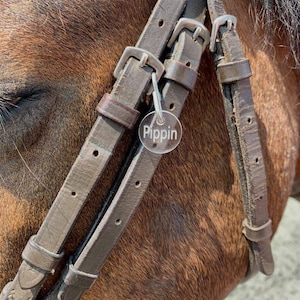 Horse Bridle Halter Tag Circle