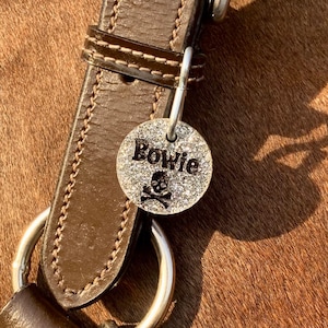 Specialty Horse Bridle Halter Tag Circle Silver Glitter