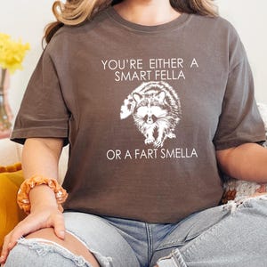 Colores cómodos, ¿eres un tipo inteligente o hueles a pedos? Camiseta de dibujos animados retro, camiseta rara, camiseta de meme, camiseta de panda de la basura, camiseta divertida de mapache