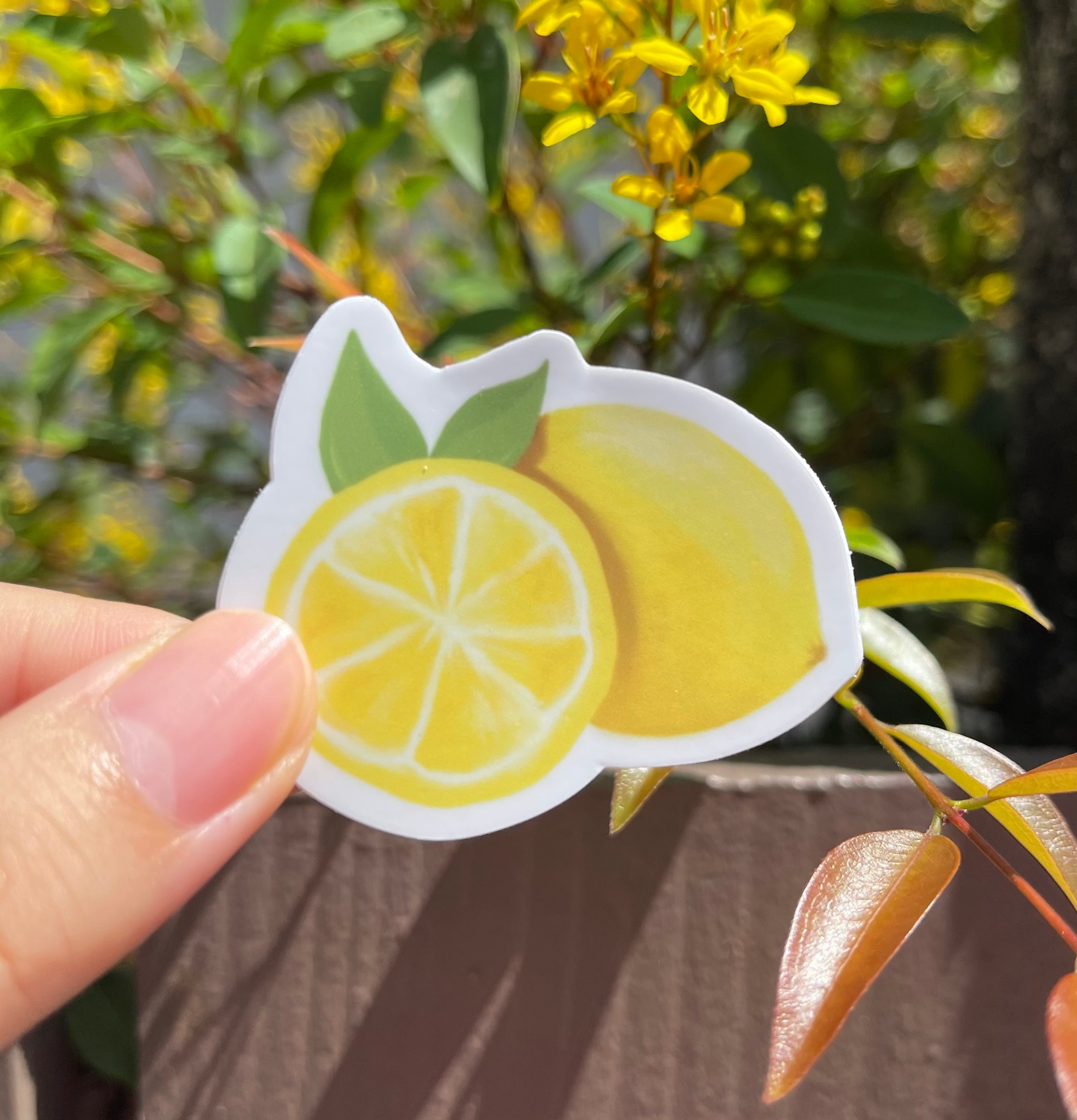Lemon Sticker - Lemon - Citrus Sticker - Weatherproof Matte Sticker ...