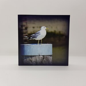 Photo on wood - Seagull 1