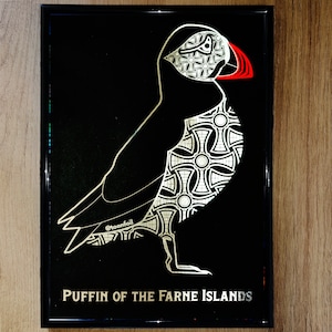 Puffin of the Farne Islands