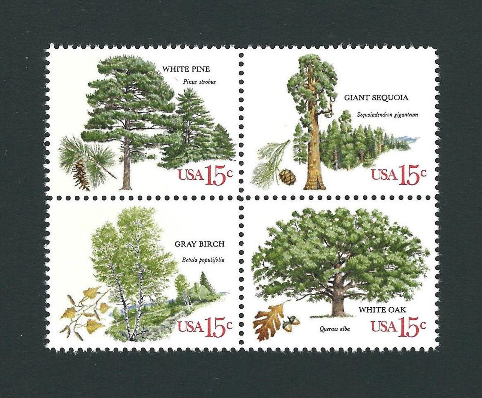 American Trees 8 Stamps 2 blocks of 4 Unused Vintage USPS Etsy