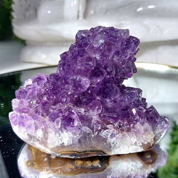 Amethyst Stalaktit Cluster