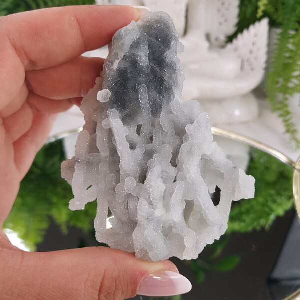 Chalcedon Cluster