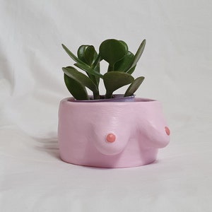 May include: A pink ceramic planter shaped like a bust with a small green succulent plant inside.