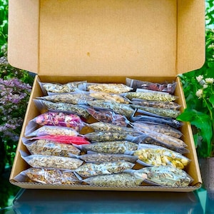 Beginner Herb Starter Kit Apothecary Spell Box - 30 Herb Bags