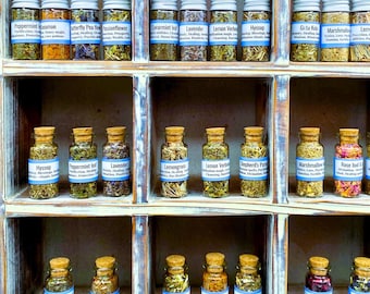 Witchy Herbs A - L, Ritual Herb Jars 10ml-Witchcraft Altar Tools Supplies-Protection Spell Herb Kit