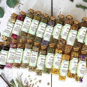 Custom Apothecary Witchcraft Herb Spell Bottle Set - 20ml Dried Witchy Herb Jar Collection