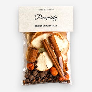 May include: A clear plastic pouch containing a simmer pot blend with dried orange slices, cinnamon sticks, small orange pumpkins, and dark brown cloves. The top label reads EARTH FAE MAGIC, Prosperity, and INTENTION SIMMER POT BLEND in black text.