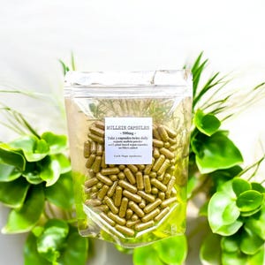 Organic Mullein Veggie Capsules 500mg Made fresh to order No fillers