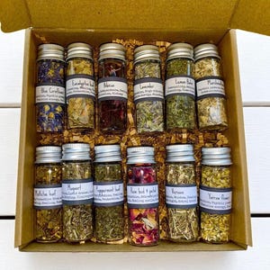 Starter-Beginner-Intermediate-Advanced Witch Kit - Glass Tube Herb Box