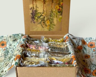 Botanical Witch Gift Starter Collection Box, Herb Sampler Kit, Ritual Apothecary Spellwork Supplies