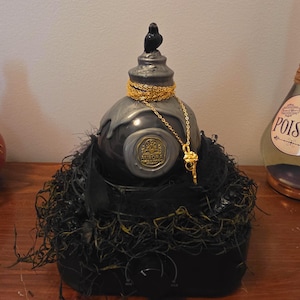Handgemaakte ketting met zelfroerende ravendrank en bedeltje | D&D fantasy decoratie (bedeltje afneembaar)