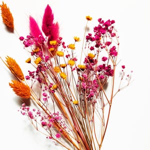 Exchange package flowers Flowerbar® &quot;Fire Blossom&quot; dried flowers durable, sustainably dried flowers, flower package for wooden bar