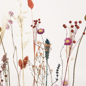 FlowerBar® Flower Meadow Fleurs séchées Flowergram & chêne noble, arrangement en bois, fleurs séchées, durable image 2