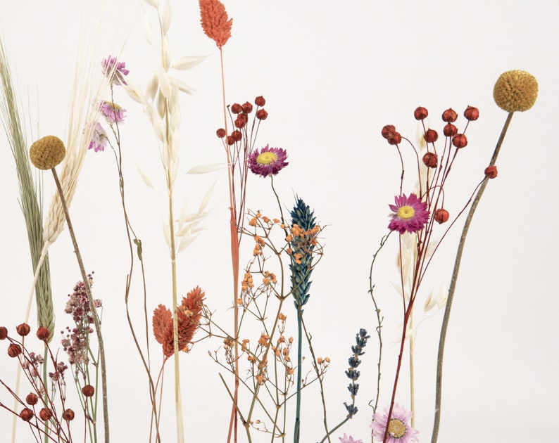 FlowerBar® Flower meadow dried flowers Flowergram & noble oak, wooden arrangement, dried flowers, durable image 2