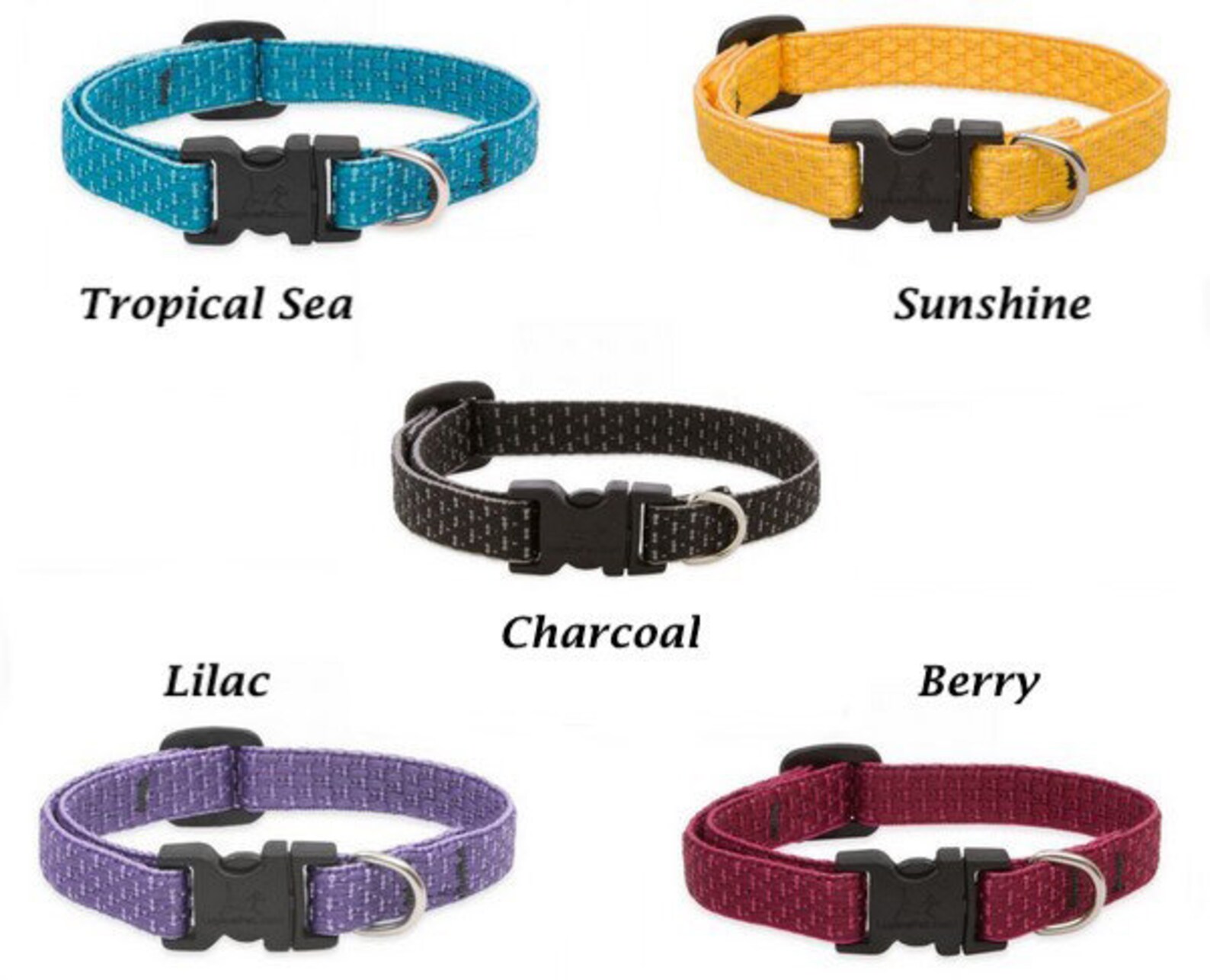 Dog Collar Lupine Pet Eco Berry 13 22 in or 914 in Etsy