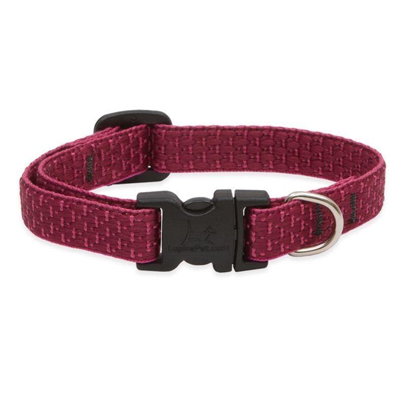Dog Collar Lupine Pet Eco Berry 13 22 in or 914 in Etsy