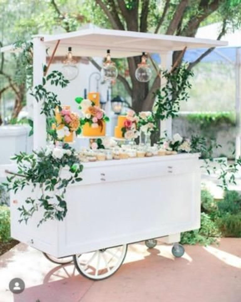 Bulk DIY Catering Cart Plans for Big Businesses Start Your Own Mobile