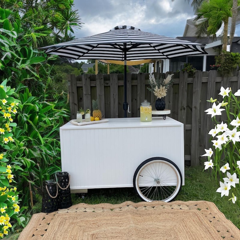 Cake Cart Pop Rocks Cake Pop Cart - Etsy