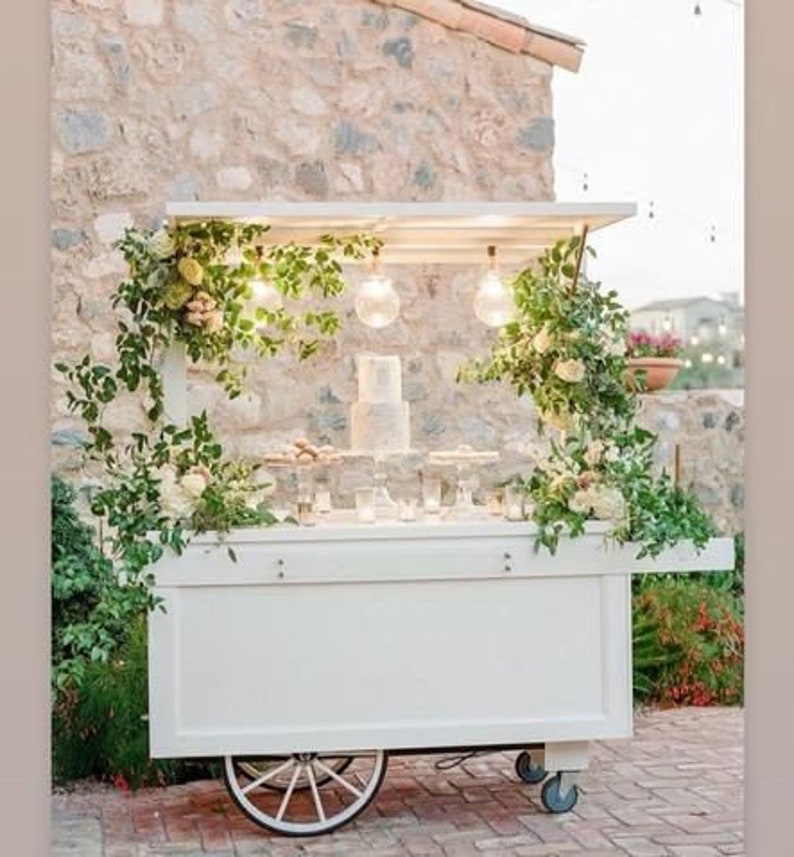 Bulk DIY Catering Cart Plans for Big Businesses Start Your Own Mobile