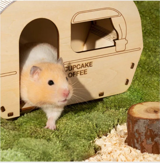 Image showcasing Hamster Camper House Assembly Kit customizable - Etsy