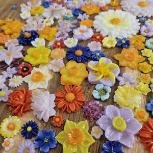 May include: A collection of small, colorful resin flower cabochons in various shapes and sizes, including daisies, daffodils, and multi-petaled blossoms in shades of yellow, orange, blue, purple, white, and red, scattered across a wooden surface.
