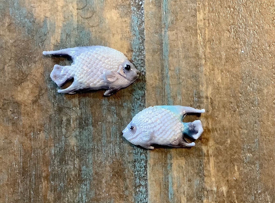 90 COE Glass Fusing Fish Etsy