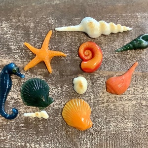 May include: A collection of colorful seashells, including a starfish, a seahorse, a conch shell, and a scallop shell. The shells are arranged on a wooden surface.