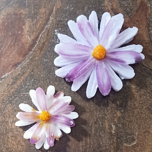 May include: Two purple and white flowers with yellow centers. The flowers are on a brown wooden surface.