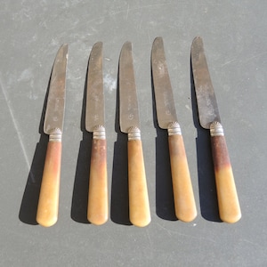 May include: Five silver butter knives with bone handles. The handles are a light brown color with darker brown accents. The knives are all in good condition.