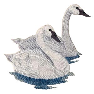 Trumpeter Swans on the Lake Embroidered Waffle Weave Hand Dish Towel, Flour Sack, Bird Embroidery