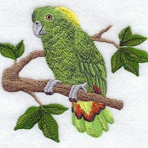 Mexican Yellow Nape Parrot, Embroidered Towel, Flour Sack Towel, Kitchen Towel, Hand Towel, Dish Towel, Bird Embroidery